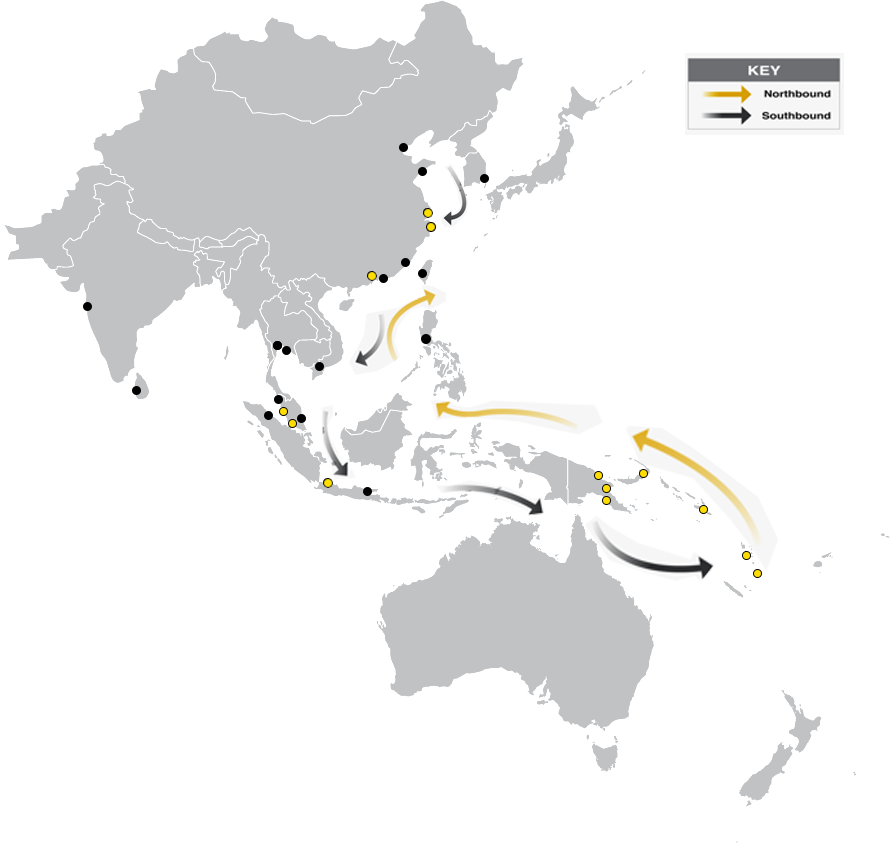 Shipping Map